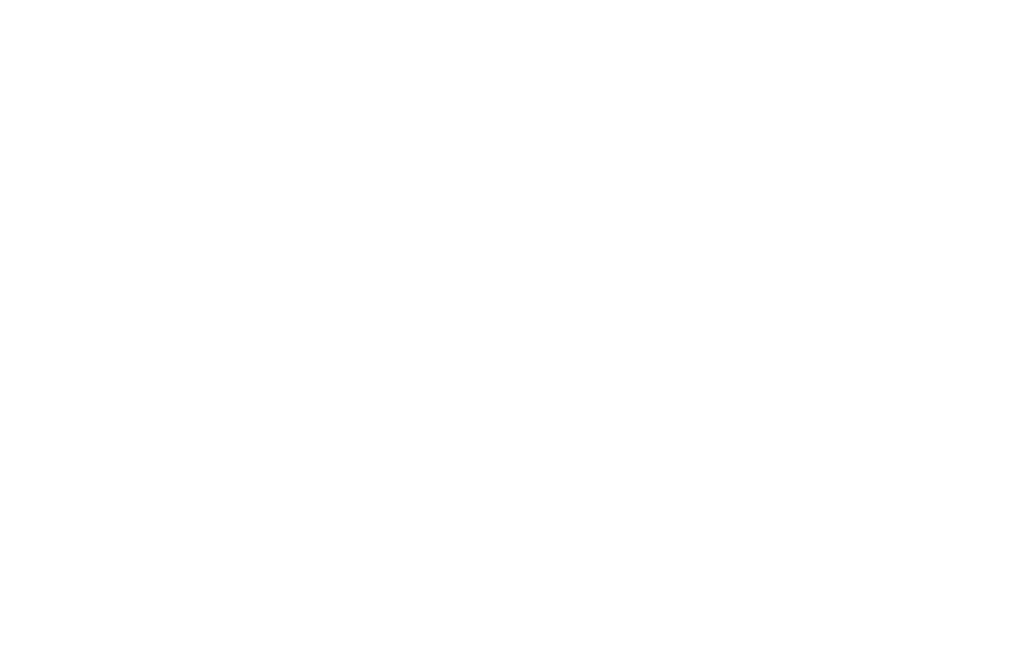 Huck and Company Auto Detailing