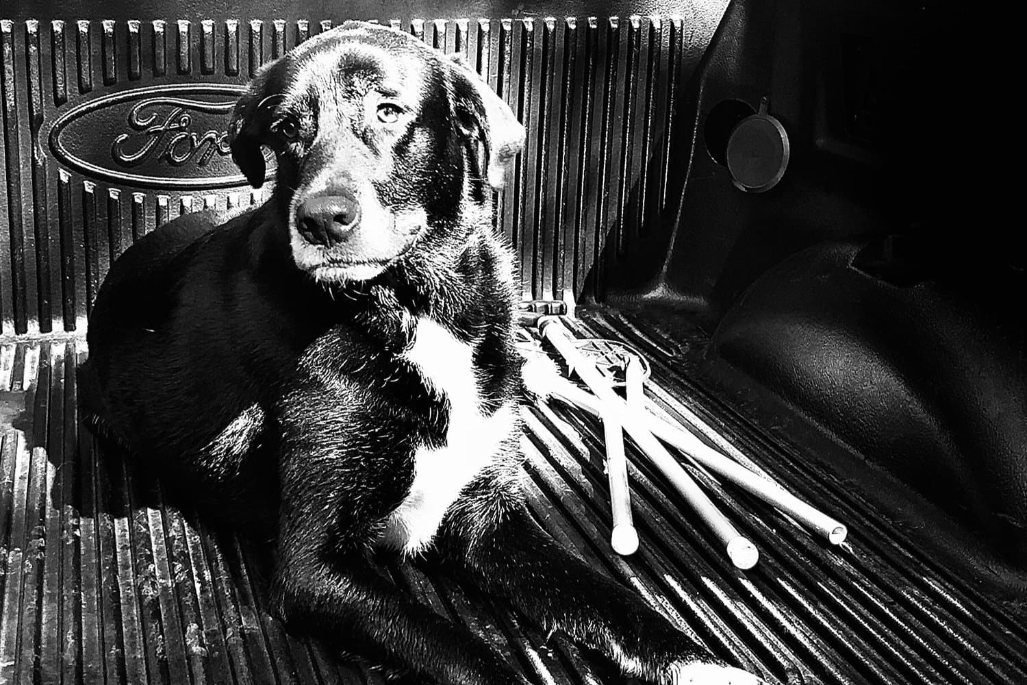 Blake and Huck at Huck and Company Auto Detailing